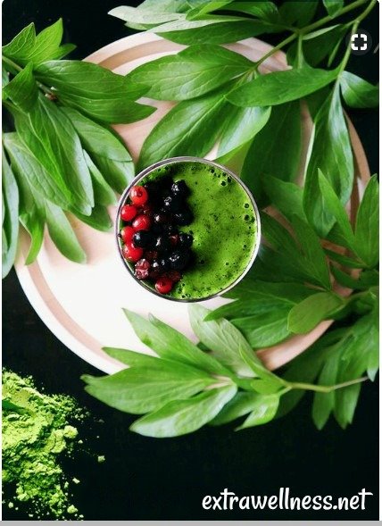 Ultimate green juicing recipes to Helps Lose Weight that Works! Why not try some of these & Watch the extra pounds drop off!!