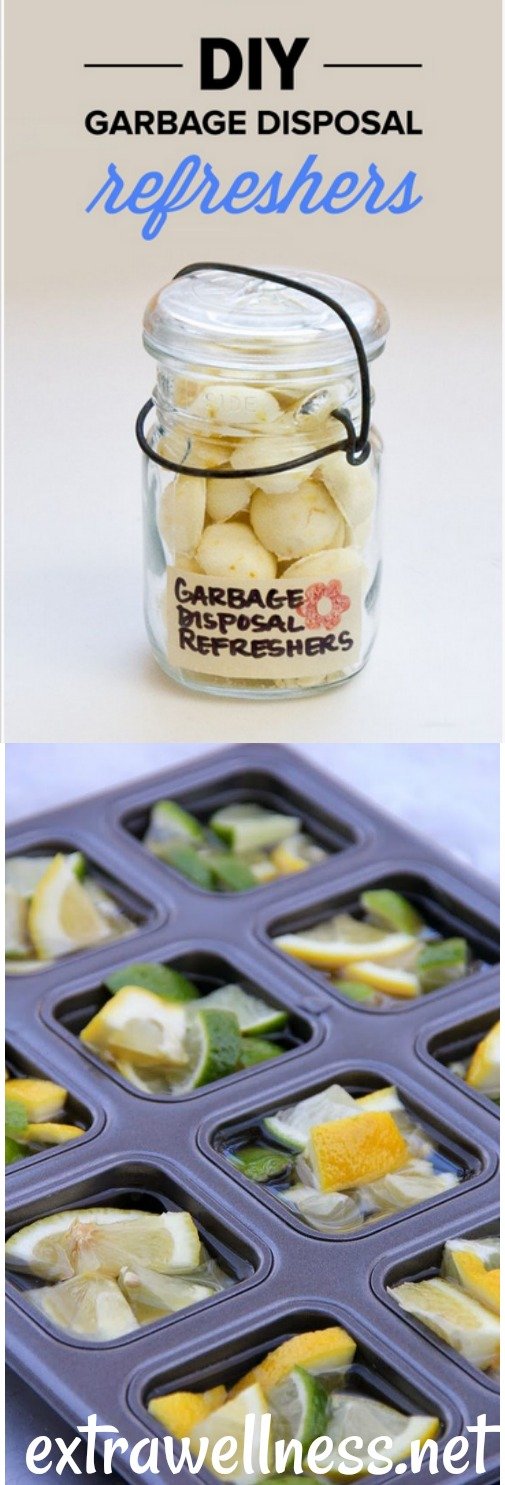 If your waste disposal is n’t really as fresh (just like mine) as it ought to be, Then this Do It Yourself homemade Garbage Disposal refresher is the best tested and proven solution for it.