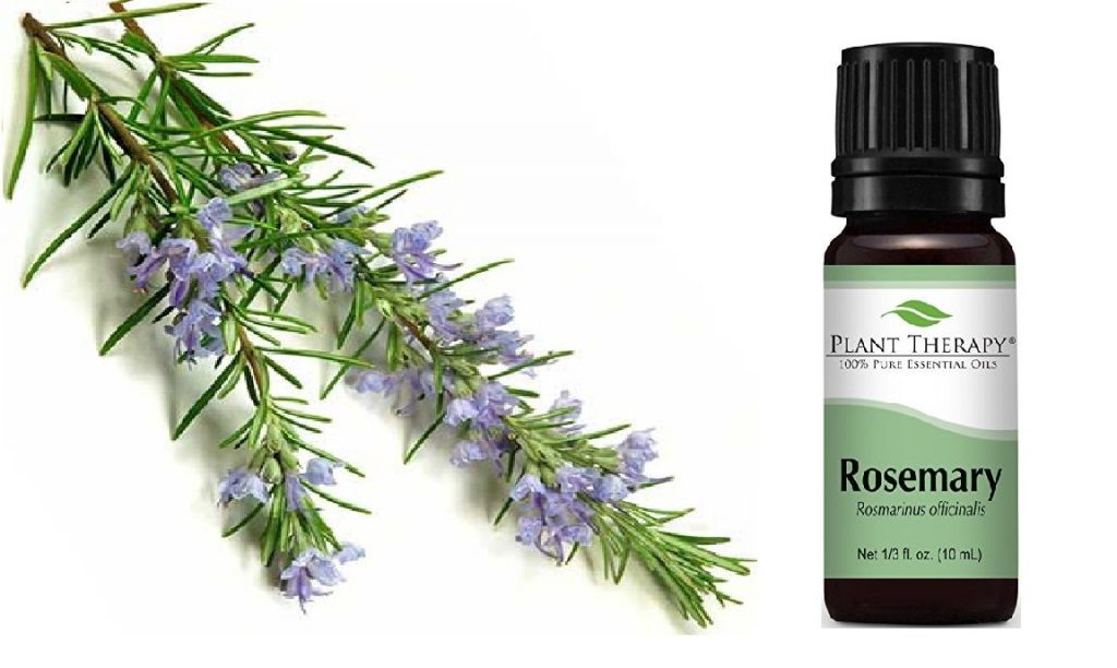 The Best Essential Oils For Neck Pain, Stiffness, and Inflammation