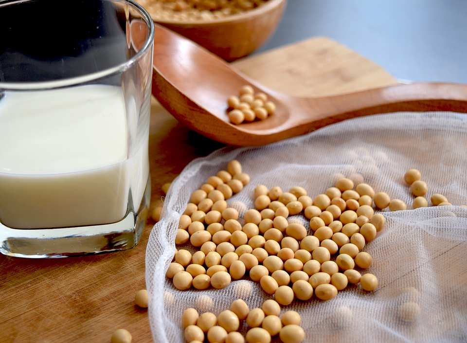 soy-milk-benefits-extra-wellness-benefits-of-soy-for-good-health