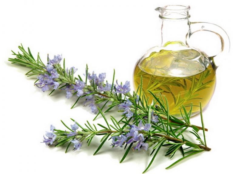 Rosemary Benefits Packed Full of Vitamins & Folate